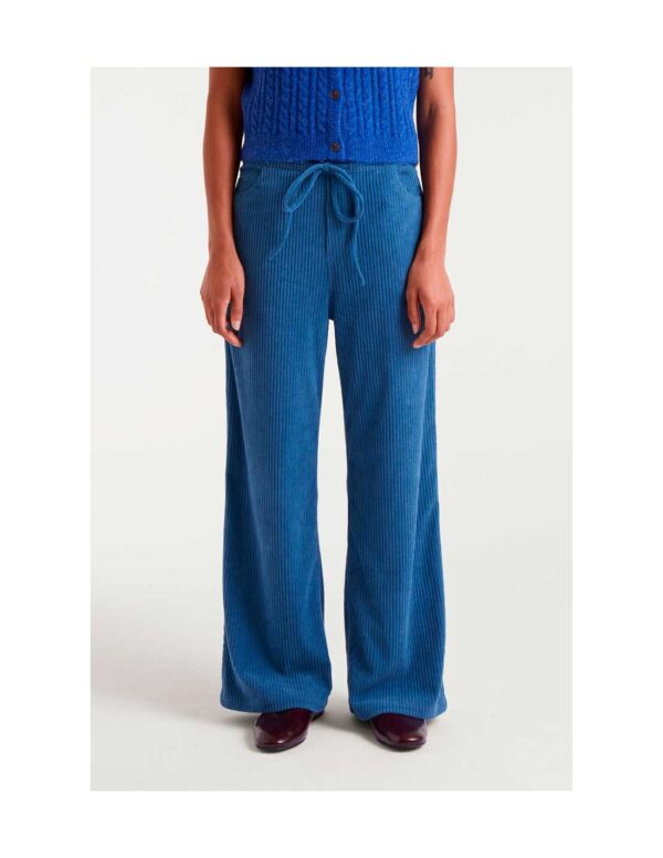 PANTALON DE PANA LISO AZUL - Imagen 2